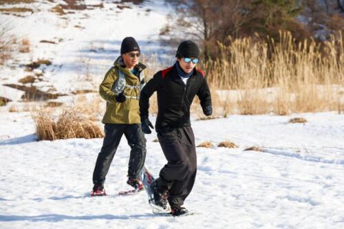 260117snowshoe-133